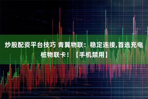 炒股配资平台技巧 青翼物联：稳定连接,首选充电桩物联卡！【手机禁用】